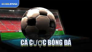 Cá Cược Bóng Đá
