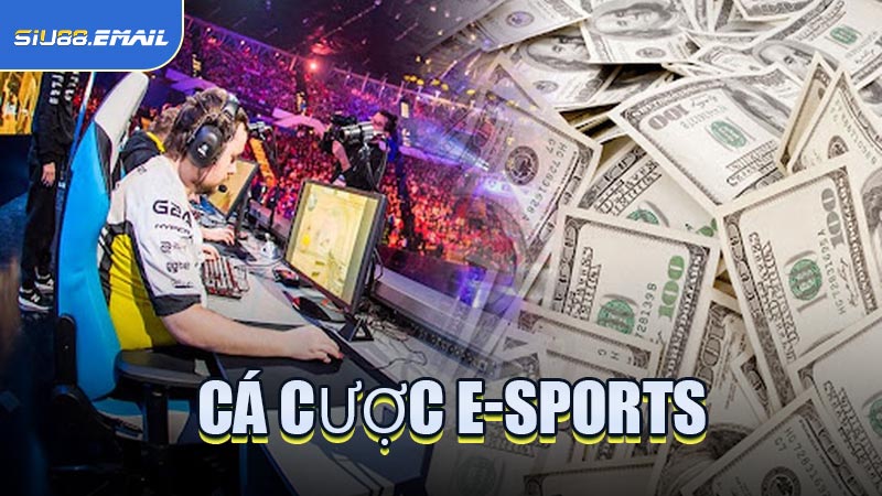 Cá Cược E-Sports