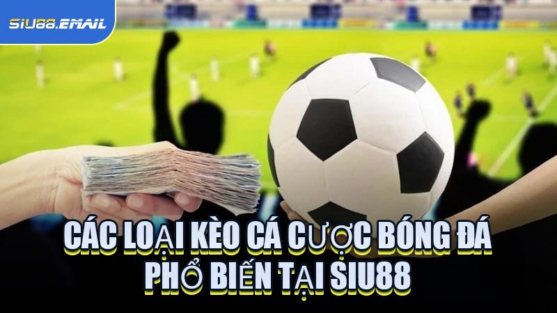 Các Loại Kèo Cá Cược Bóng Đá Phổ Biến Tại SIU88