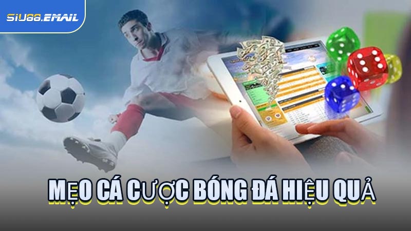 Mẹo Cá Cược Bóng Đá Hiệu Quả