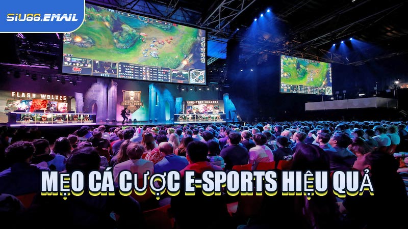 Mẹo Cá Cược E-Sports Hiệu Quả