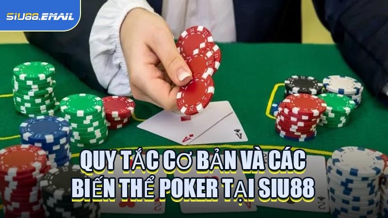 Quy Tắc Cơ Bản Và Các Biến Thể Poker Tại SIU88