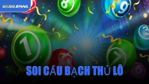 Soi Cầu Bạch Thủ Lô