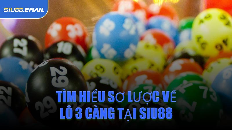 Tìm Hiểu Sơ Lược Về Lô 3 Càng Tại SIU88