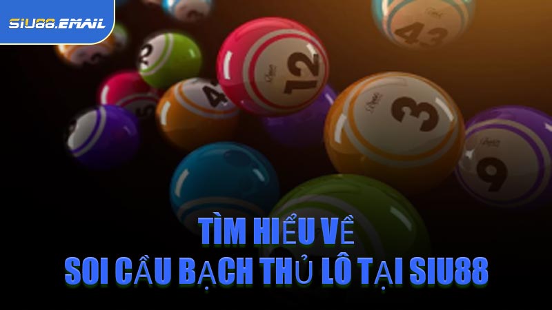 Tìm Hiểu Về Soi Cầu Bạch Thủ Lô Tại SIU88